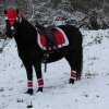 Samichlaus 2017